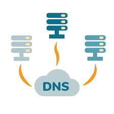 Website DNS Management